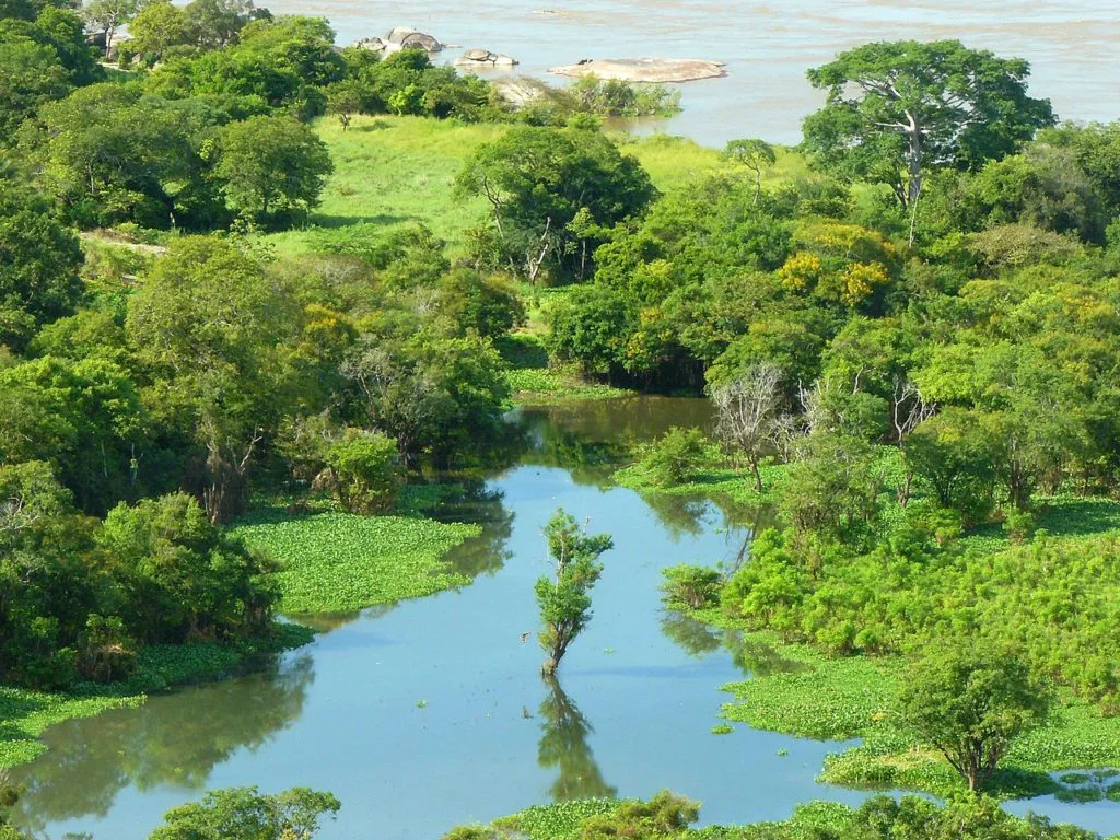 Rio Orinoco na Venezuela