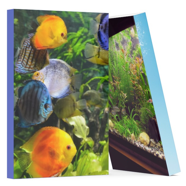 Enciclopédia de aquário para aquaristas